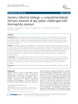 Systems infection biology: a compartmentalized immune network of