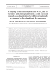 Coupling of thraustochytrids and POM, and of bacterio