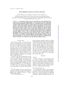 Swim Initiation Neurons in Tritonia diomedea1