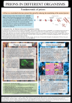 Prions diseases PrD