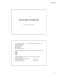 Nucleotide Metabolism