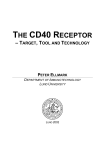 the cd40 receptor - Immunotechnology
