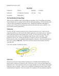 Key Terms Prokaryote Nucleus Organelle Cytoplasm Eukaryote Cell