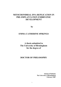 MITOCHONDRIAL DNA REPLICATION IN PRE