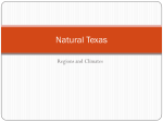Natural Texas