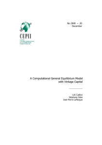 A Computational General Equilibrium Model with Vintage Capital