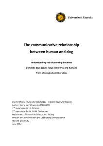 The communicative relationship between human and dog