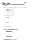 Study Guide 8 Memory