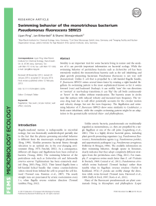 Swimming behavior of the monotrichous bacterium Pseudomonas