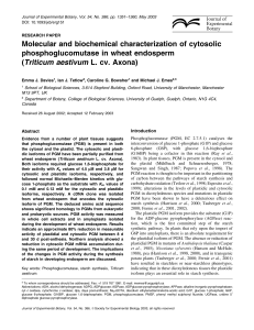 Molecular and biochemical characterization of cytosolic