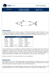 Species factsheet - mackerel