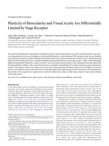 Plasticity of Binocularity and Visual Acuity Are Differentially Limited