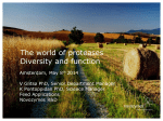 The world of proteases Diversity and function