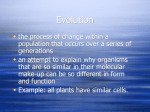 Evidence of Evolution Notes