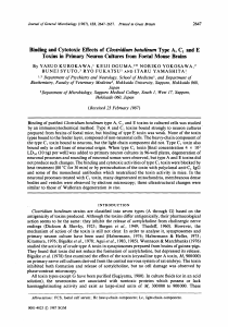 Binding and Cytotoxic Effects of Clostdium botulinum Type A, C1