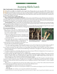 Assessing Alfalfa Stands - Midwest Forage Association