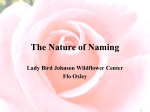 The Nature of Naming - Texas Master Naturalist