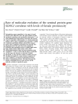 Rate of molecular evolution of the seminal protein gene