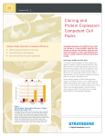 Cloning and Protein Expression Competent Cell Packs