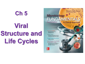 Viral Structure and Life Cycles