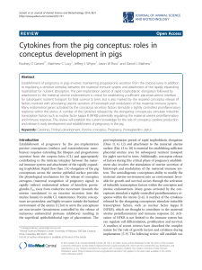 Cytokines from the pig conceptus: roles in conceptus development