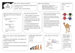 B1 revision - Ecclesfield School