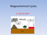 Biogeochemical Cycles