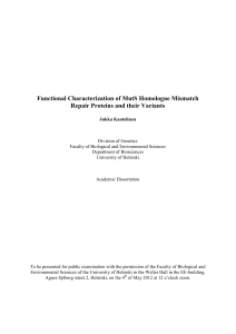 Functional Characterization of MutS Homologue Mismatch