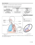 70- 732341 Phases of Respiration Respiration involves