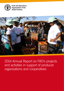 2014 Annual Report on FAO`s projects and activities in support of