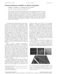 Isolated hexaphenyl nanofibers as optical waveguides