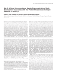 Myr 8, A Novel Unconventional Myosin Expressed during Brain