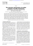 The structure and function of cardiac t