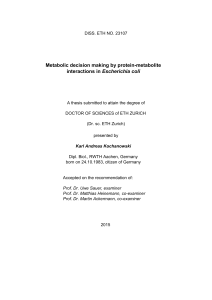 Metabolic decision making by protein-metabolite - ETH E