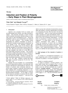 Induction and Fixation of Polarity -Early Steps in Plant Morphogenesis