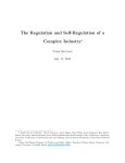 The Regulation of a Complex Industry