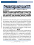 Response of naïve and memory CD8+ T cells to antigen stimulation
