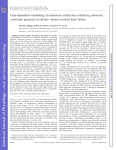 Time-dependent remodeling of transmural architecture underlying