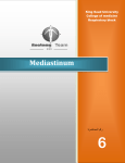L6-mediastinum2014-08-21 09:591.3 MB