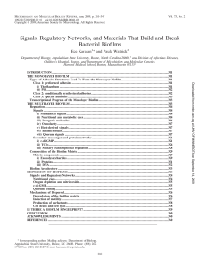 Signals, Regulatory Networks, and Materials That Build and