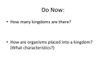 How many kingdoms are there?