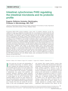 Intestinal cytochromes P450 regulating the intestinal microbiota and