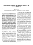 Tissue-Specific Expression and Promoter Analysis of the Tobacco