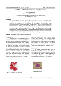 Red Blood Cells Classification using Image