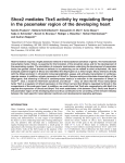 Shox2 mediates Tbx5 activity by regulating Bmp4 in the pacemaker