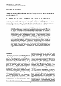 strain UNS 35 - Journal of Medical Microbiology