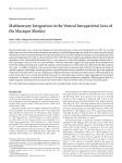 Multisensory Integration in the Ventral Intraparietal Area of the
