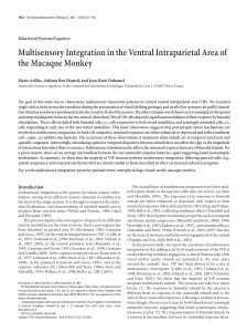 Multisensory Integration in the Ventral Intraparietal Area of the