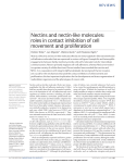 Nectins and nectin-like molecules: roles in contact inhibition of cell