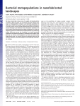 Bacterial metapopulations in nanofabricated